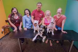 Image of students and Dr. Fasenko with 3 dogs wearing mustaches