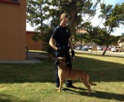 Explosives detection NMSU K9 Ray with handler